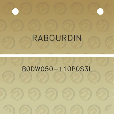 rabourdin-b0dw050-110p0s3l