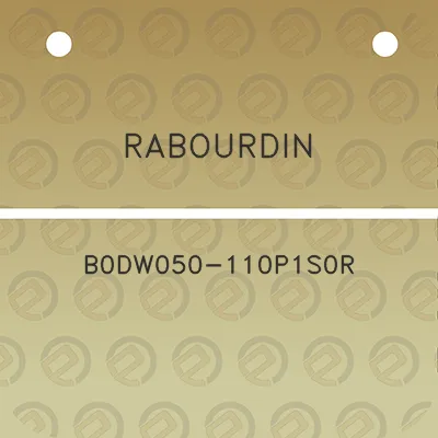 rabourdin-b0dw050-110p1s0r