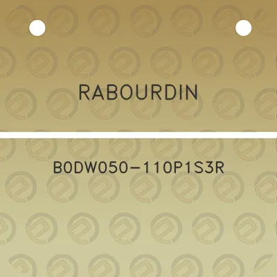 rabourdin-b0dw050-110p1s3r