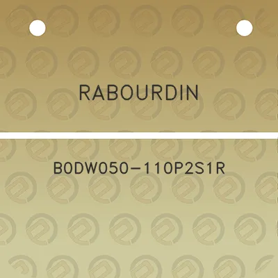 rabourdin-b0dw050-110p2s1r