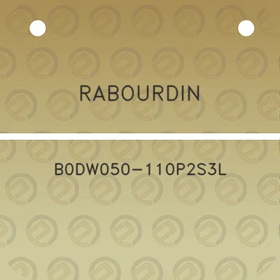 rabourdin-b0dw050-110p2s3l