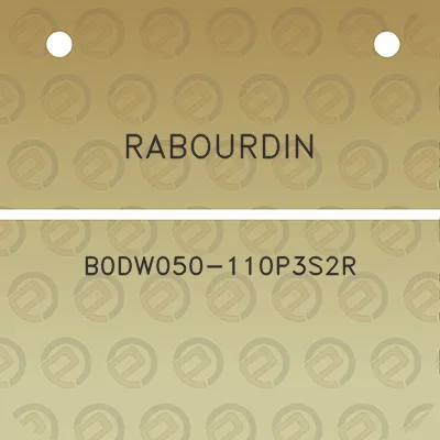 rabourdin-b0dw050-110p3s2r