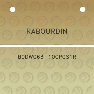 rabourdin-b0dw063-100p0s1r