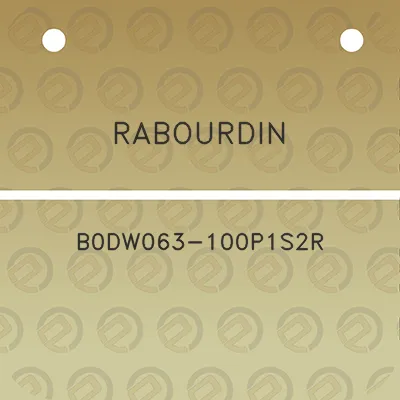 rabourdin-b0dw063-100p1s2r