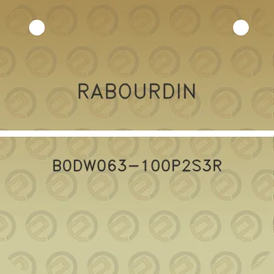 rabourdin-b0dw063-100p2s3r