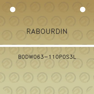 rabourdin-b0dw063-110p0s3l