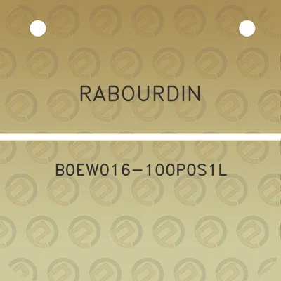 rabourdin-b0ew016-100p0s1l