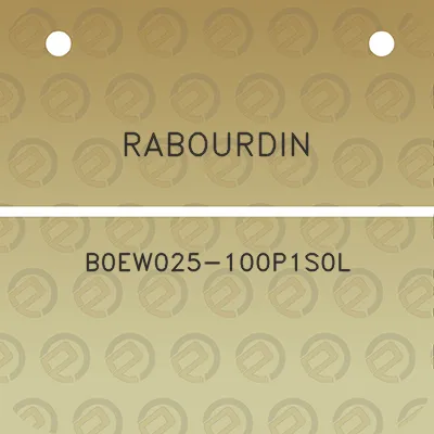 rabourdin-b0ew025-100p1s0l