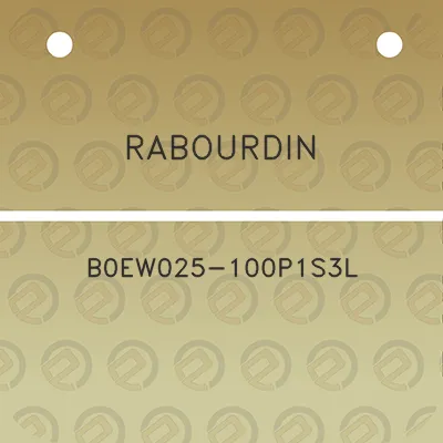 rabourdin-b0ew025-100p1s3l