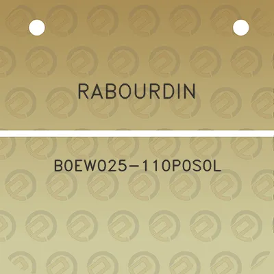 rabourdin-b0ew025-110p0s0l