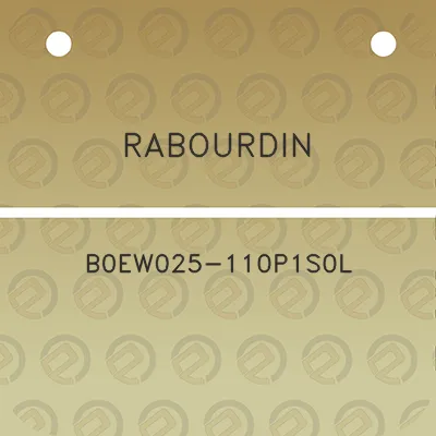 rabourdin-b0ew025-110p1s0l