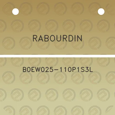 rabourdin-b0ew025-110p1s3l