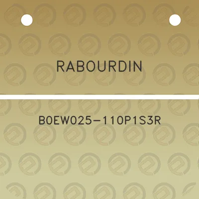 rabourdin-b0ew025-110p1s3r