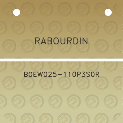 rabourdin-b0ew025-110p3s0r