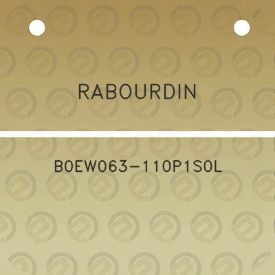 rabourdin-b0ew063-110p1s0l