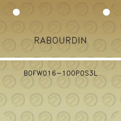 rabourdin-b0fw016-100p0s3l