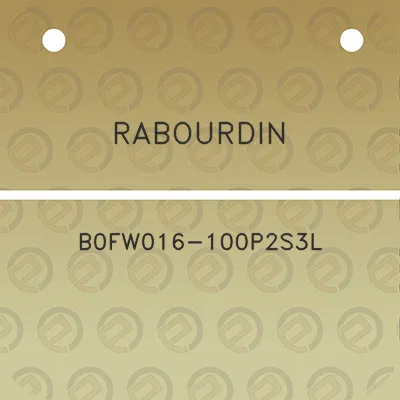 rabourdin-b0fw016-100p2s3l