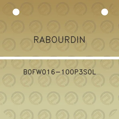 rabourdin-b0fw016-100p3s0l