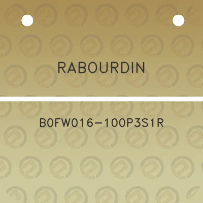 rabourdin-b0fw016-100p3s1r