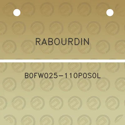 rabourdin-b0fw025-110p0s0l