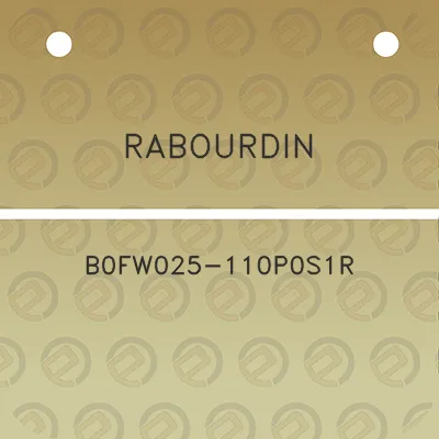 rabourdin-b0fw025-110p0s1r