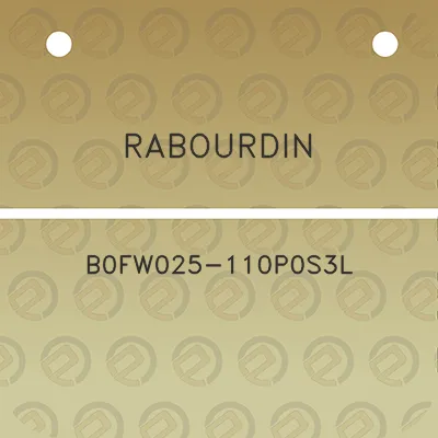 rabourdin-b0fw025-110p0s3l