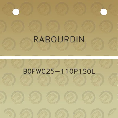 rabourdin-b0fw025-110p1s0l