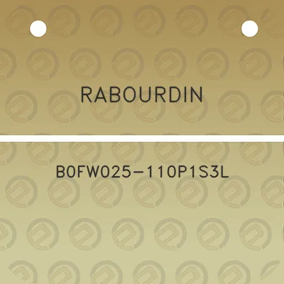 rabourdin-b0fw025-110p1s3l