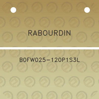 rabourdin-b0fw025-120p1s3l