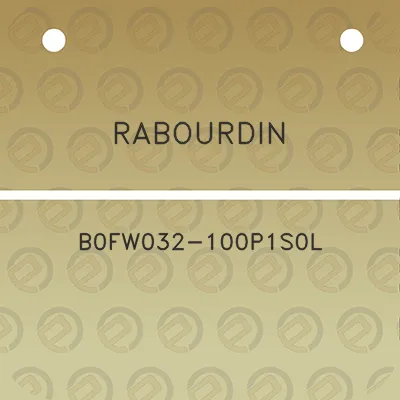 rabourdin-b0fw032-100p1s0l