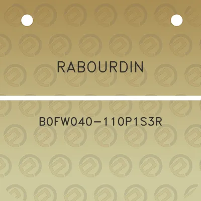 rabourdin-b0fw040-110p1s3r