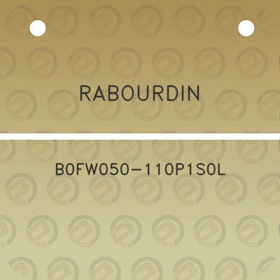 rabourdin-b0fw050-110p1s0l