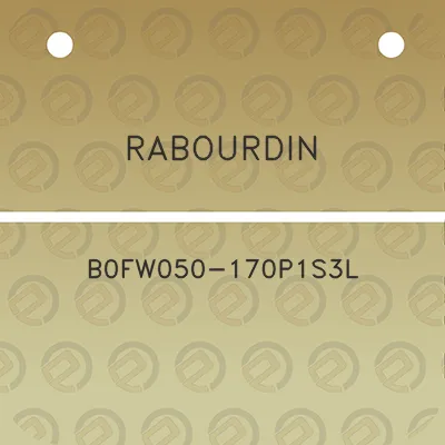 rabourdin-b0fw050-170p1s3l