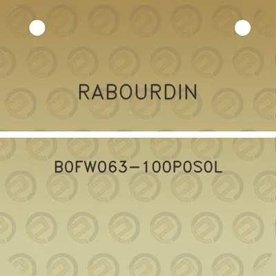 rabourdin-b0fw063-100p0s0l