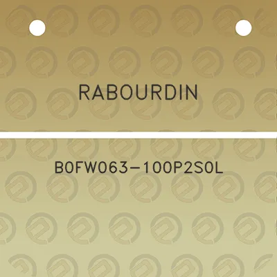 rabourdin-b0fw063-100p2s0l