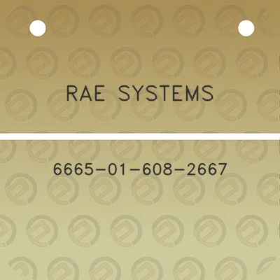 rae-systems-6665-01-608-2667