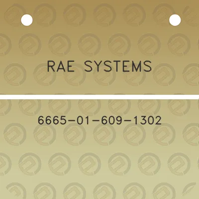 rae-systems-6665-01-609-1302