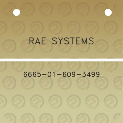 rae-systems-6665-01-609-3499