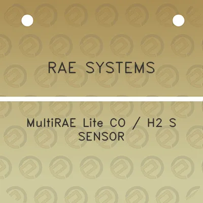 rae-systems-multirae-lite-co-h2-s-sensor