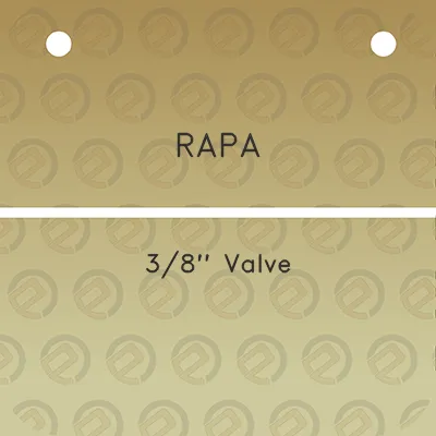 rapa-38-valve