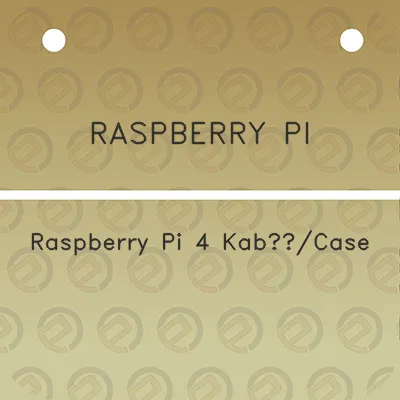 raspberry-pi-raspberry-pi-4-kabcase