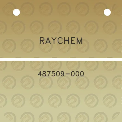 raychem-487509-000