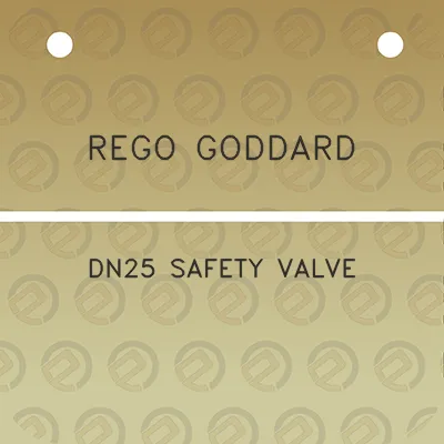 rego-goddard-dn25-safety-valve