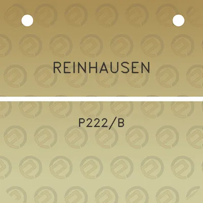 reinhausen-p222b