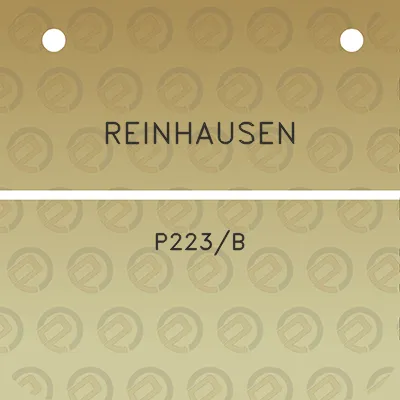 reinhausen-p223b