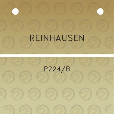 reinhausen-p224b