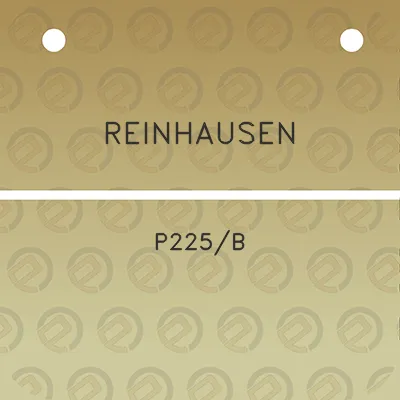 reinhausen-p225b