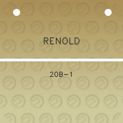 renold-20b-1