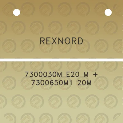 rexnord-7300030m-e20-m-7300650m1-20m