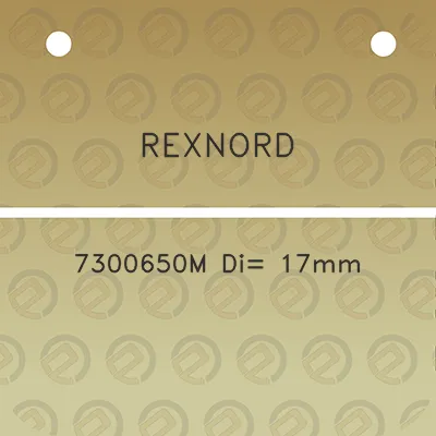 rexnord-7300650m-di-17mm